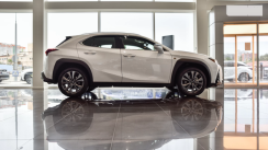 Вітровики для Lexus UX 2019-... з хром молдингом (HIC)