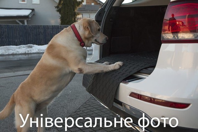 Гумовий килимок в багажник для Opel Insignia (mkI)(A) 2008-2017 (універсал)(багажник с защитой) (Gledring). Фото 3