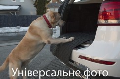Гумовий килимок в багажник для Audi A3/S3/RS3 (mkIV) 2020→ (хетчбек)(с двухуровневым полом)(верхний уровень)(багажник с защитой) (Gledring). Фото 3